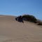 medanos unicos