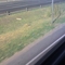 Panamericana a la altura de El Talar