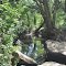 Creekbed