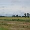 Llanura pampeana. Zona de Bigand
