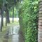 Llueve en la calle Tedin y Av. de los Constituyentes