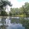 Laguna en el campo
