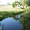 arroyo