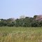 Monte con lapachos, uno blanco especie muy rara - Ituzaingó - Corrientes