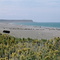 Punta Dungeness - Fin del Continente -