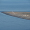 PUNTA DÚNGENESS | Argentine side