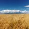 Estepa Patagonica