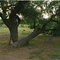 Roaring Springs Ranch Campground