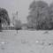 nevada en canals