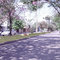 Vista Bv. Centenario