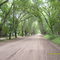 "El boulevard"