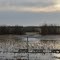 Paraje El Billar