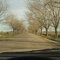 Carmen de Areco