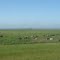 Campo argentino con vaquitas