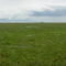 pastizal y horizonte