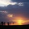 Atardecer en el campo.