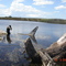 Laguna La Rosita (Castelli)