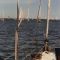 Navegacion a Vela en el Rio de la Plata