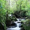 arroyo cerca de las costas