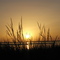 atarder en laguna de rocha