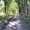 Vale -mountain bike-
