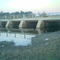 Puente Lago (Chivilcoy)