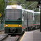 Trains: Tren de la Costa (Coast Train)