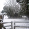 mi campo nevado