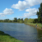 Primavera en el lago