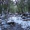 "Arroyo Lopez"  "San. C. de Bariloche"  "Río Negro"   "Arg"