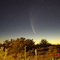 Cometa McNaught