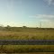 RN 14