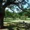 Lyndon B. Johnson National Historical Park
