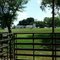 Ranch buildings as viewed from the stables, LBJ NHP
