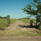 Entrada a la Chacra.