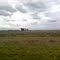 Ruta 2
