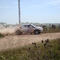 Rally Dakar Argentina-Chile 2009
