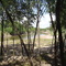 Río Carcarañá