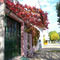 otoño en tolosa