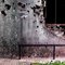 vida y muerte en la casa de los conejos