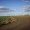 Camino Rural