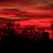 Fire in the sky