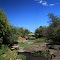 Creekbed/summertime