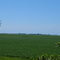 The countryside