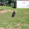 DSCF3494