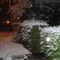 Y un día ...NEVO...en La Plata