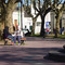 mañana de primavera en la plaza belgrano de ensenada