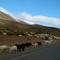 Camino a Chos Malal - NQN