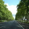 Ruta n°8, Argentina