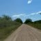 Camino llegando al Puente Castex (jfe)